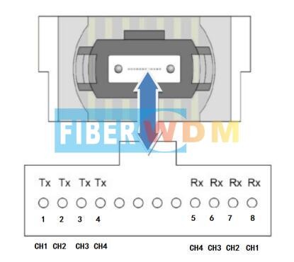 MPO-LC Adapter Device