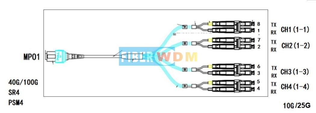 MPO-LC Adapter Device