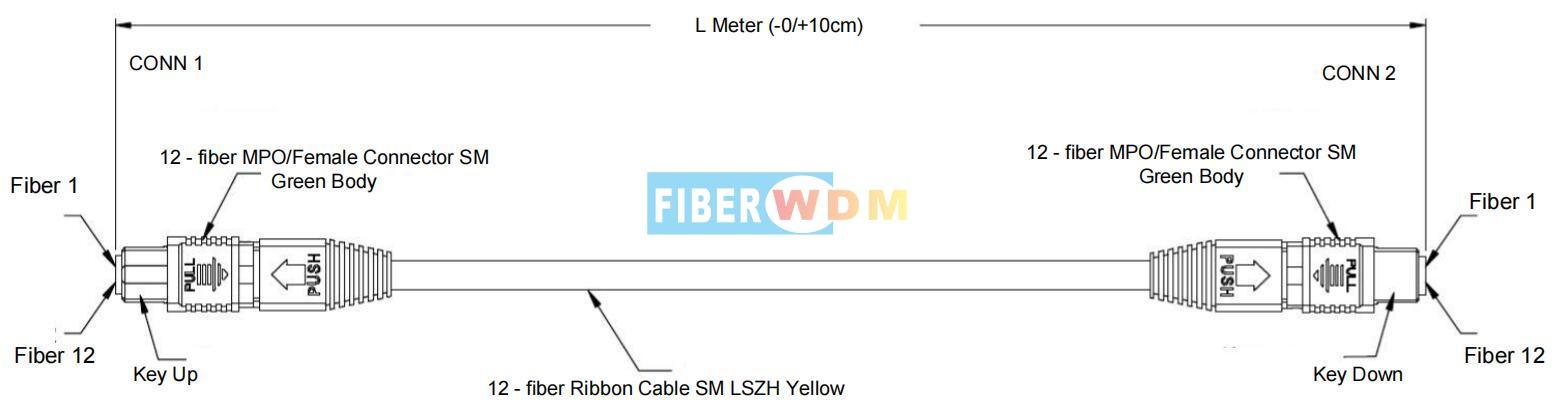 MTP/MPO Trunk Cable