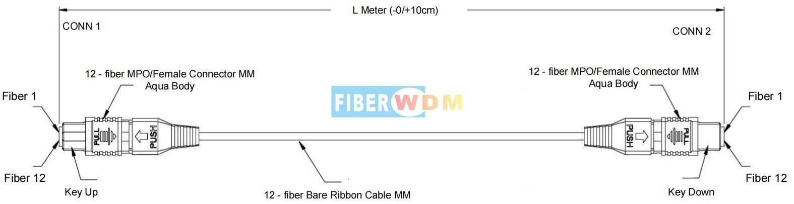 MTP/MPO Trunk Cable